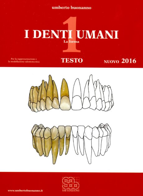 Classe A-16 Disegno artistico e Modellazione Odontotecnica