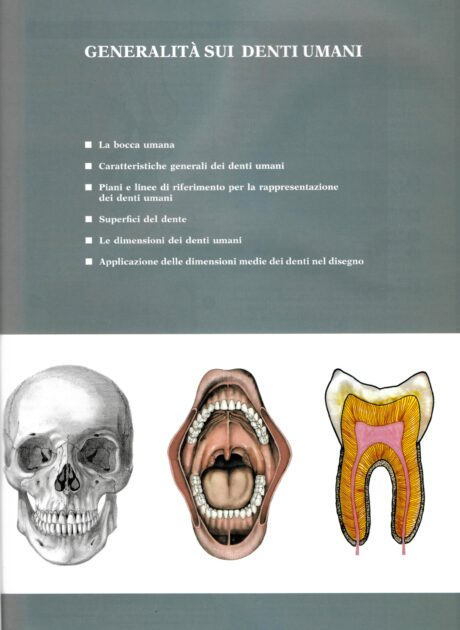 Classe A-16 Disegno artistico e Modellazione Odontotecnica